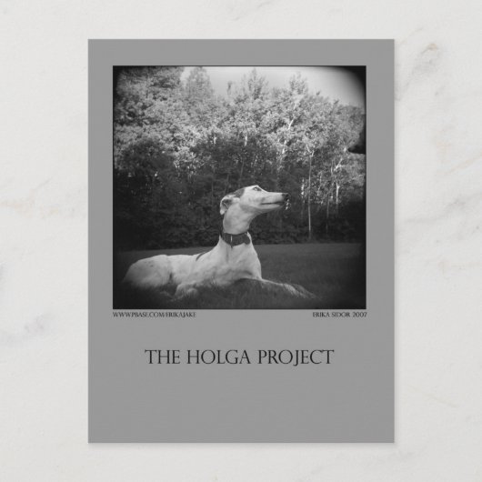 Dog Park Postcard 12 Postkarte (Vorderseite)