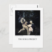 Dog Park Postcard 13 Postkarte (Vorne/Hinten)