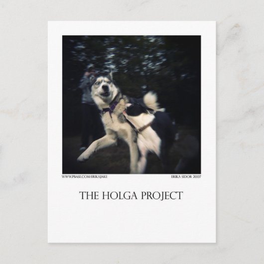 Dog Park Postcard 13 Postkarte (Vorderseite)