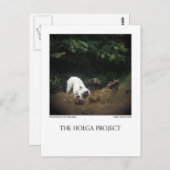 Dog Park Postcard 14 Postkarte (Vorne/Hinten)