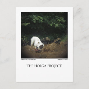 Dog Park Postcard 14 Postkarte