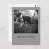 Dog Park Postcard 15 Postkarte (Vorne/Hinten)