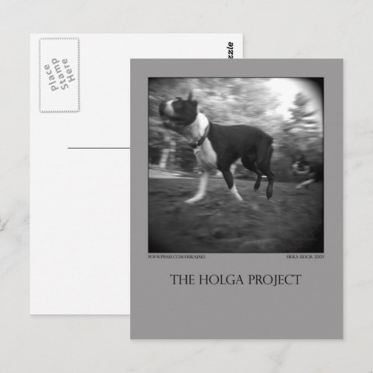 Dog Park Postcard 15 Postkarte (Vorne/Hinten)