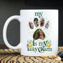 Dog Paw Fotos St Patrick's Day Personalisiert