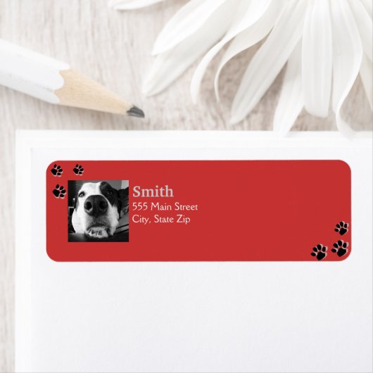 Dog Paw Labels (Insitu)