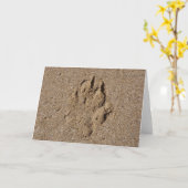 Dog Paw Print in Sand Karte (Gelbe Blume)