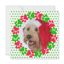 Dog Paw Print Red and Green Kranz Foto