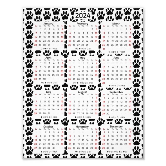 Dog Pawprint Muster 2024 Kalender Fotodruck (Vorne)