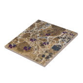 Dog Paws Marble Brown | KERAMIK Fliese (Seite)