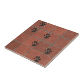 Dog Paws Terracotta Paw Tracks | Fliese (Seite)