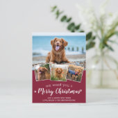 Dog Pet Foto Collage Wir woof Sie frohe Weihnachte Postkarte (Stehend Vorderseite)