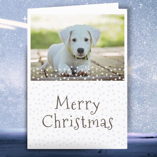 Dog Pet Foto Stars Frohe Weihnachten