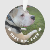 Dog Pet Gedicht Foto Blue Memorial Keepake Ornament (Vorderseite)