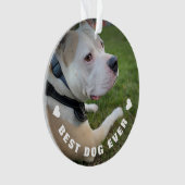 Dog Pet Gedicht Foto Lila Memorial Keepake Ornament (Vorderseite)
