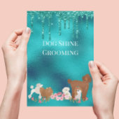Dog Pet Grooming Sitting Business Glitzer Flyer