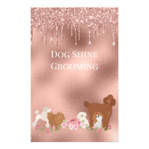 Dog Pet Grooming Sitting Business Glitzer Flyer
