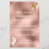 Dog Pet Grooming Sitting Business Glitzer Flyer (Hinten)