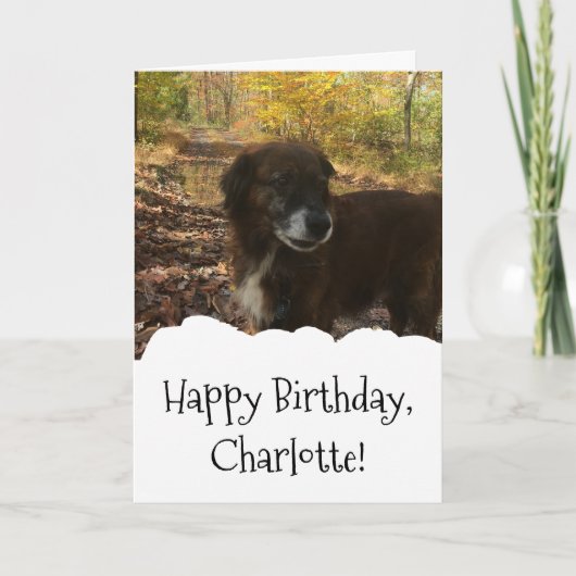 Dog Photo Custom Personalized Birthday Karte (Vorderseite)
