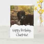 Dog Photo Custom Personalized Birthday Karte (Gelbe Blume)