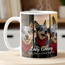 Dog Photo Name 6 Photo