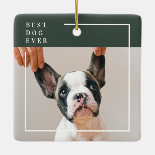 Dog Photo Ornament | Best Dog Ever Modern (Rückseite)