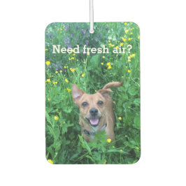 Dog Photography personalized Air Freshener Autolufterfrischer