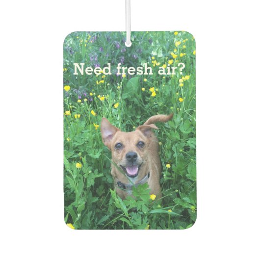 Dog Photography personalized Air Freshener Autolufterfrischer (Vorderseite)