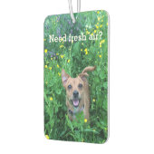 Dog Photography personalized Air Freshener Autolufterfrischer (Links)