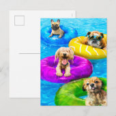 Dog Pool Party Postkarte (Vorne/Hinten)