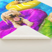 Dog Pool Party Sherpadecke (3/4)