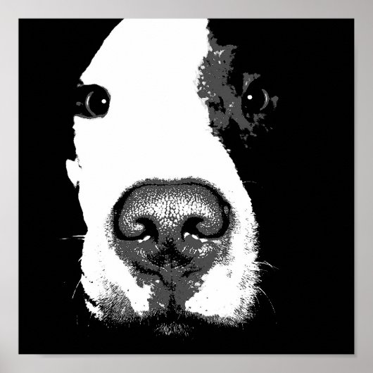 Dog Pop Art Poster (Vorne)