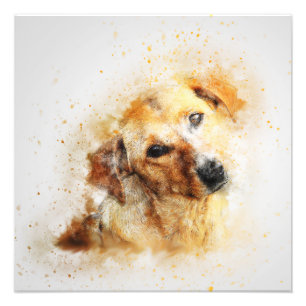 Dog Portrait Haustier Kunst Abstrakte Vintage Farb Fotodruck