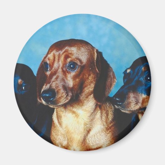 Dog Portrait Magnet (Vorne)