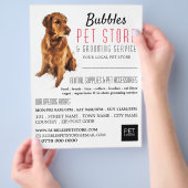 Dog Portrait, Pet Store & Groomer Werbung Flyer (Hand)