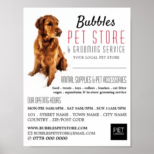Dog Portrait, Pet Store & Groomer Werbung Poster (Vorne)