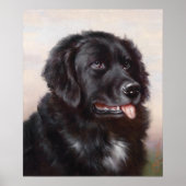 Dog Portrait Poster (Vorne)
