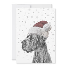 Dog Portrait und Paw Print Weihnachtskarten