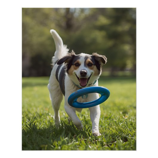 DOG POSTER (Vorderseite)