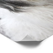 Dog Poster (Ecke)