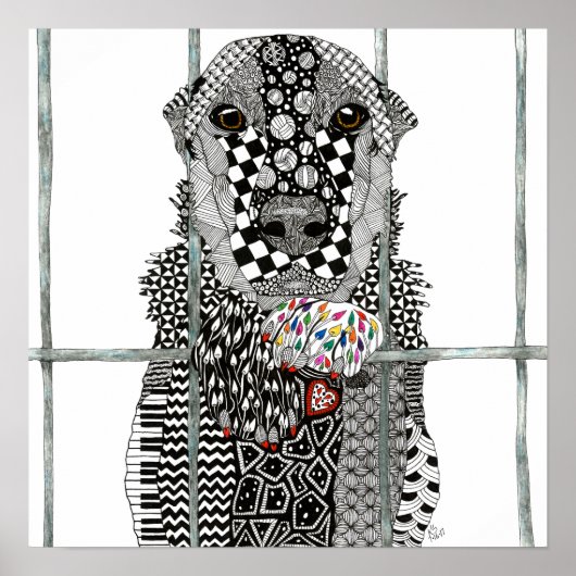 Dog Poster 24"x 24" (Vorne)