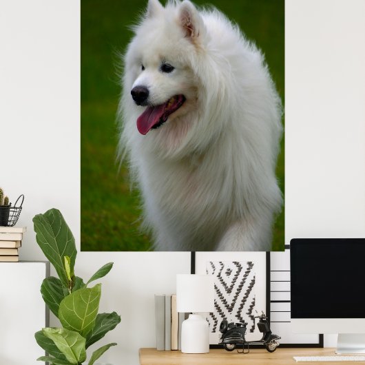 Dog Poster. Poster (Heimbüro)