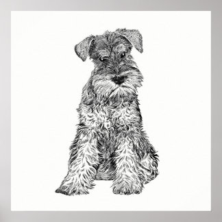 Dog Poster / Wall Art Schnauzer