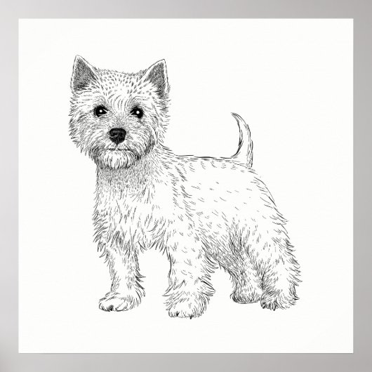 Dog Poster / Wall Art West Highland Terrier (Vorne)