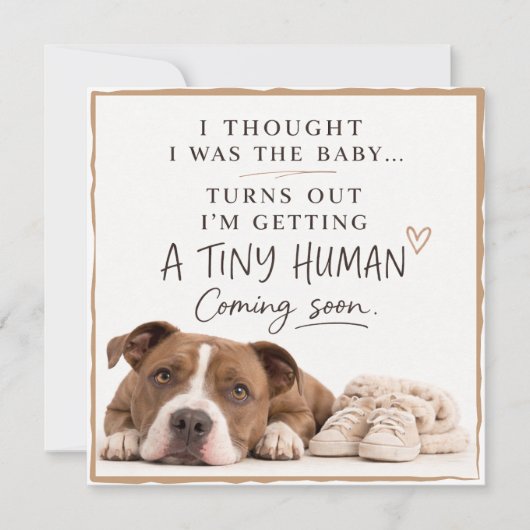 Dog Pregnancy Announcement Card Einladung (Vorderseite)