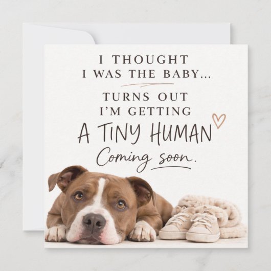 Dog Pregnancy Announcement Card Einladung (Vorderseite)
