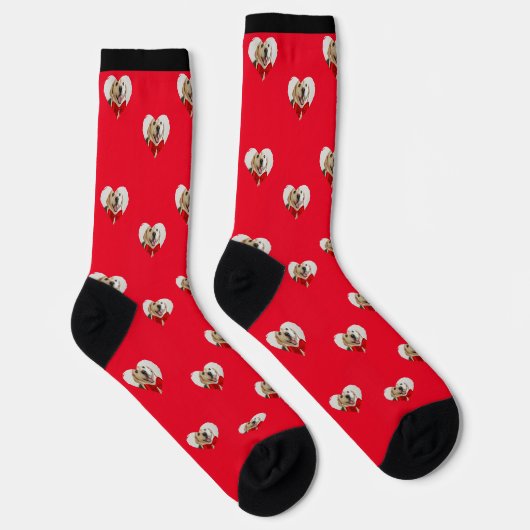 Dog Printed Socks - Custom Foto Gift Socken (Rechts)