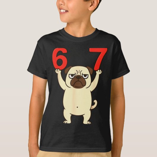 Dog Pug Funny 67 Meme Six Seven T-Shirt (Vorderseite)