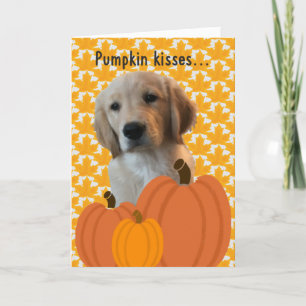 Dog Pumpkin Kisses Erntedank Card Feiertagskarte
