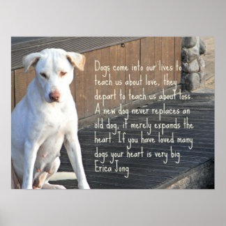Dog Quote Poster - Erica Jong