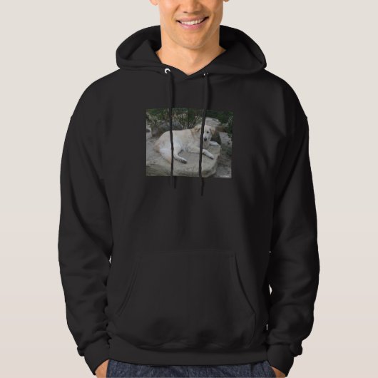 Dog Resting On A Rock Hoodie (Vorderseite)